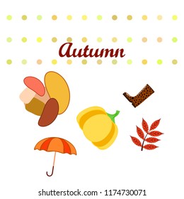 autumn mushrooms pumpkin fallen leaves umbrella rubber boots autumnal vector background