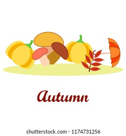autumn mushrooms pumpkin fallen leaves umbrella rubber boots autumnal vector background