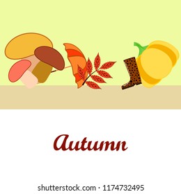 autumn mushrooms pumpkin fallen leaves umbrella rubber boots autumnal vector background