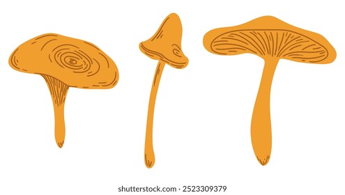 Autumn mushrooms set. Fall orange hand drawing forest mushroom collection. Simple flat doodle childish elements. Cartoon kids isolated vector illustration