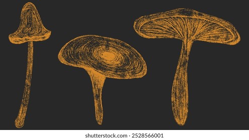 Autumn mushrooms set. Fall orange chalk drawing forest mushroom collection. Pencil texture freehand childish elements. Crayon textured kids isolated vector illustration