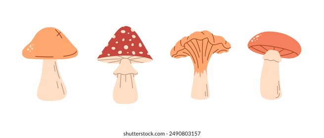 Autumn mushrooms set. Fall season. Fly agaric.  Chanterelle.