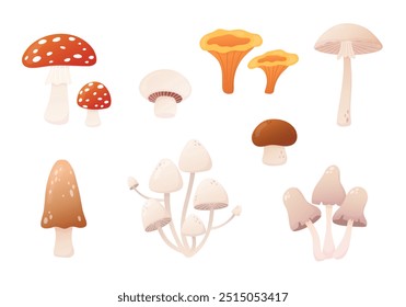 Cogumelos de outono. Voe agárico, toadstool, chanterelles. Porcini e champignon. Cogumelos venenosos e comestíveis Ilustração em desenho animado isolada em branco.