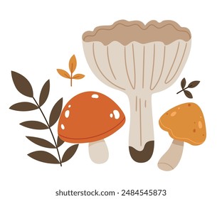 Autumn mushrooms set. Forest Mushrooms with Stem and Cap Isolated on White Background Vector Set.