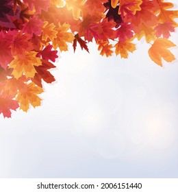 Autumn natural background template with falling leaves