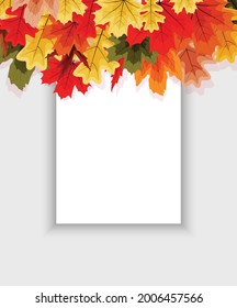 Autumn natural background template with falling leaves