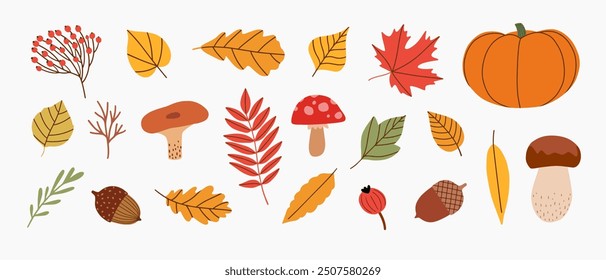 Autumn natural elements collection. Set of autumn attributes. Autumn leaves, berries, mushrooms, pumpkin, acorns isolated on white background. Vector illustration