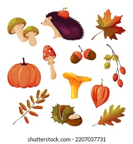 Autumn natural elements or fall icons set, vector.