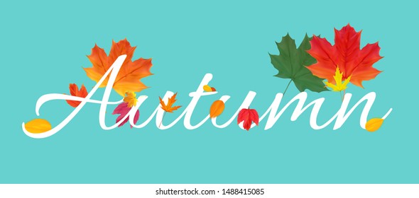 Autumn Natural Leaves Background. Vector Illustration EPS10