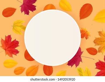 Autumn Natural Leaves Background. Vector Illustration EPS10
