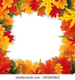 Autumn Natural Leaves Background. Vector Illustration EPS10

