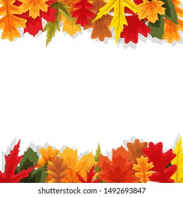 Autumn Natural Leaves Background. Vector Illustration EPS10
