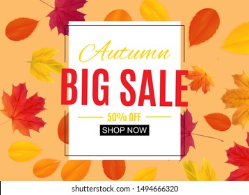Autumn Natural Leaves Background. Vector Illustration EPS10