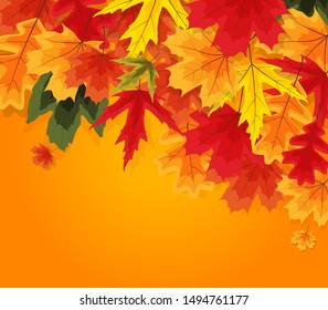 Autumn Natural Leaves Background. Vector Illustration EPS10