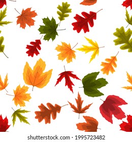Autumn Natural Leaves Seamless Pattern Background. Vector Illustration EPS10