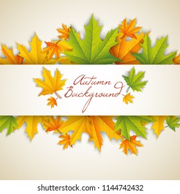 Autumn natural template with inscription and colorful falling maple leaves on light background vector illustration