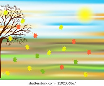 Autumn nature background