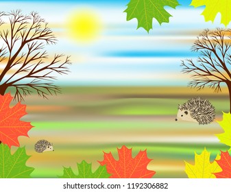 Autumn nature background