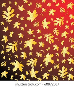 autumn  nature background