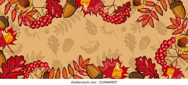 Autumn nature background banner with acorns, leaves, berries. Hand drawn, copy space, vector
