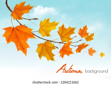 Autumn nature background with colorful leaves and raindrops. Vector illustration.