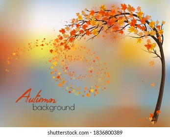 Autumn nature background with a tree and a colorful leaves. Vector.