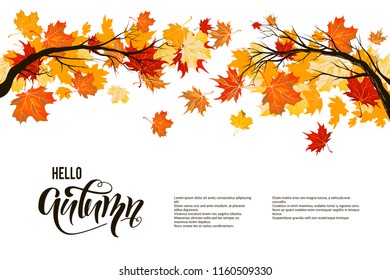 Autumn nature branch