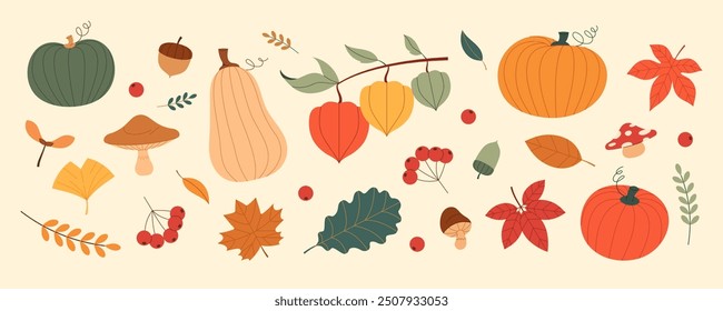 Autumn nature elements illustration. Maple leaves, fallen leaves, mushrooms, pumpkins, berries, etc.