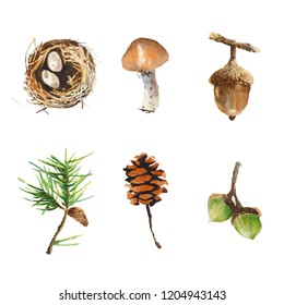 Autumn nature elements in a watercolor style. Leaves, pine cones, bird's nest painted in watercolor. Set of vector in autumn winter style.
