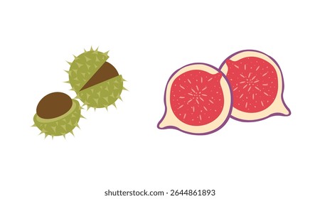 
Autumn nature flat vectors: chestnuts, sliced fig for seasonal projects. Hand drawn set for banners, cards, social media