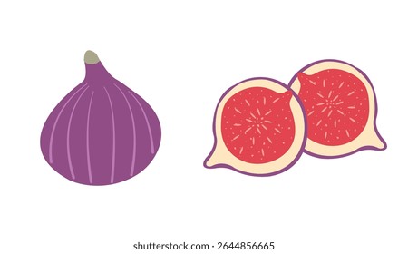 Autumn nature flat vectors: figs for seasonal projects. Hand drawn set for banners, cards, social media