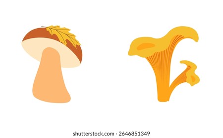 Autumn nature flat vectors: mushrooms with yellow leaf for seasonal projects. Hand drawn set for banners, cards, social media
