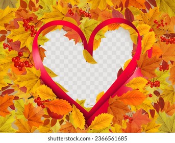 Autumn nature frame with colorful autumn leaves and red ribbon  a heart shape on a transparent background. Vector