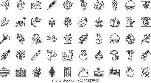 Autumn nature icons High-Quality Vector Icons Collection with Editable Stroke. Ideal for Professional and Creative Projects.