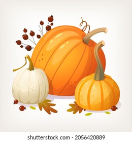 Autumn nature image in warm colours with pumpkins leaves and berries on the background. Isolated vector illustration for halloween and thanksgiving cards labels and banners 