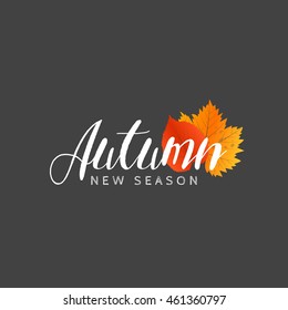 Autumn new season of sales and discounts, deals and offer. Painted lettering with his hands. Label and banner template with yellow red leaves.