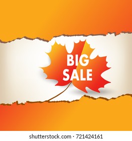 Autumn new season of sales and discounts, deals and offer