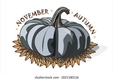 An autumn November pumpkin lies on a pile of yellow leaves. Vector illustration.