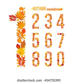 autumn numbers. vector illustration. part of collection. good for your design
