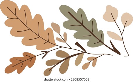 Autumn oak branch with botanical leaves and twigs flat vector