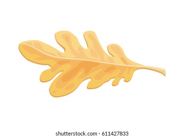 Autumn oak fallen leaf of a tree. Autumn season. Fall design concept. Botany element in flat style. Sign symbol of foliage. Serrated leaf or entire leaf with smooth margins. Vector