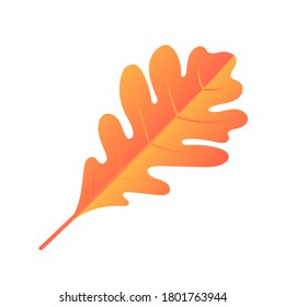 Autumn oak falling leaf. Vector realistic illustration. Bight colors. White background.