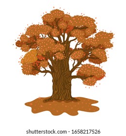 Autumn oak isolate on a white background .Vector graphic.
