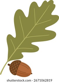 Autumn Oak Leaf with Acorn Vector Illustration