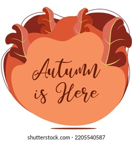 Autumn oak leaf background with Autumn is here text. Autumn is here handwritten lettering phrase with yellow leaf symbol. Hand-drawn calligraphy for seasonal vector art. Creative typography design.