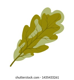 Hojas de roble otoñales. Colección Caída. Ilustración vectorial.