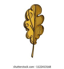 Autumn oak leaf in hand drawn, doodle style. Decorative plant element for greeting cards, invitations and much more. Vector illustration isolated on white background.