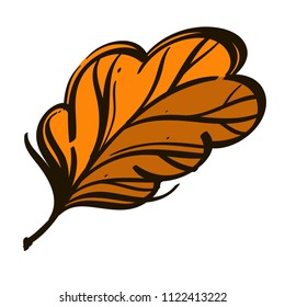 Autumn oak leaf in hand drawn, doodle style. Decorative plant element for greeting cards, invitations and much more. Vector illustration isolated on white background.