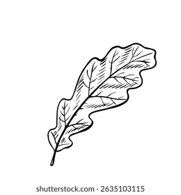 Autumn oak leaf. Handmade watercolor illustration. Color image of the autumn element. The isolate. Great for postcards, banners and flyers, posters, stickers and prints.
