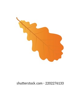 Herbsteiche einzeln auf weißem Hintergrund.Flaches Design.Vektorgrafik